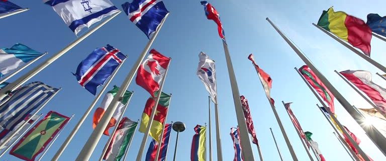 India's Challenges at the WTO