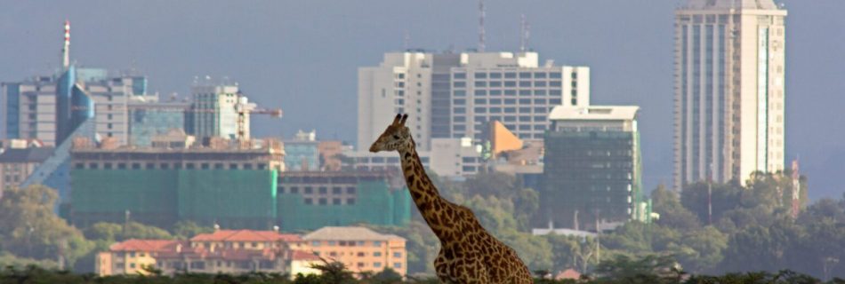 IAFL Annual General Meeting, Nairobi, Kenya, 3 – 7 September 2025