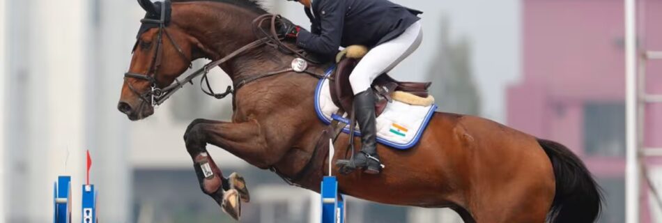 Note on equestrian laws in India