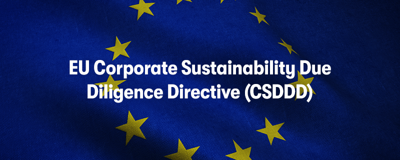 Corporate Sustainability Due Diligence Directive: Q&A