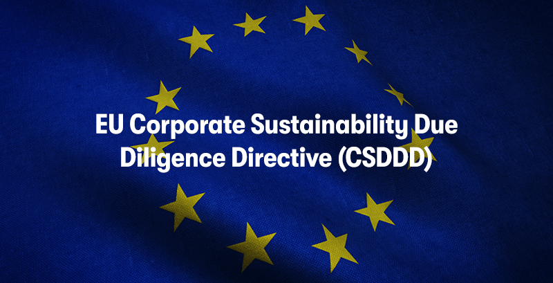 Corporate Sustainability Due Diligence Directive: Q&A
