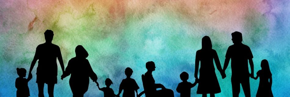 Seema Girija Lal v. Union of India - Implementation and Enforcement of the Rights of Persons with Disabilities Act, 2016